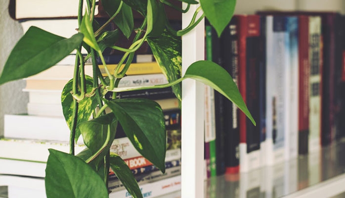 Indemnité transactionnelle suite à rupture conventionnelle: quel régime social?